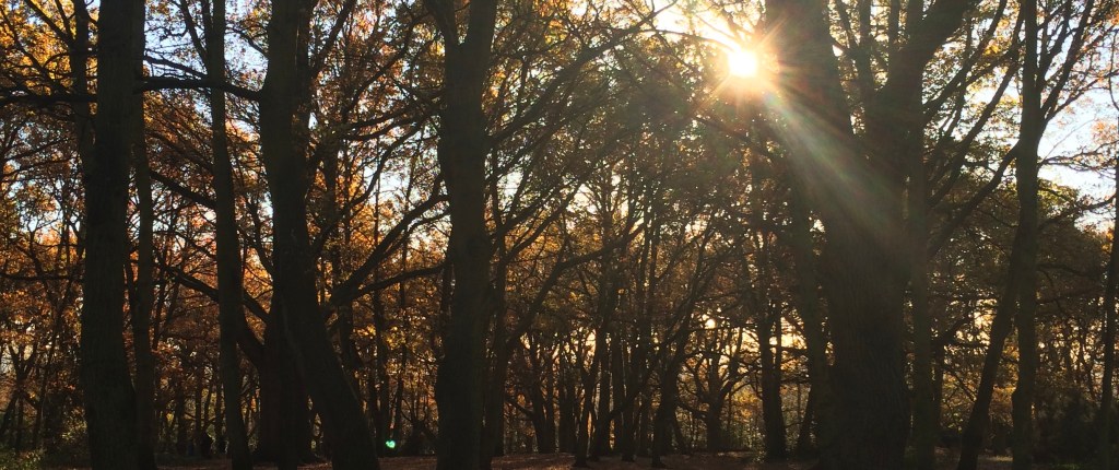 2025: a tasty mast year